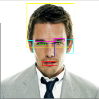 dataset face bounding boxes facial includes different parts also