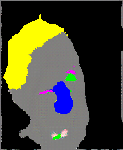 PIXGAN Result Image 4