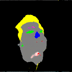 PIXGAN Result Image 9