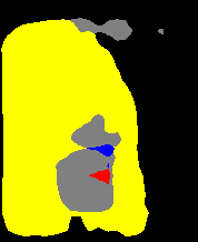 PSP50 Result image 4